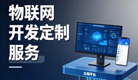 物联网开发定制服务，为什么说买标准平台和找人定制是两条完全不同的路